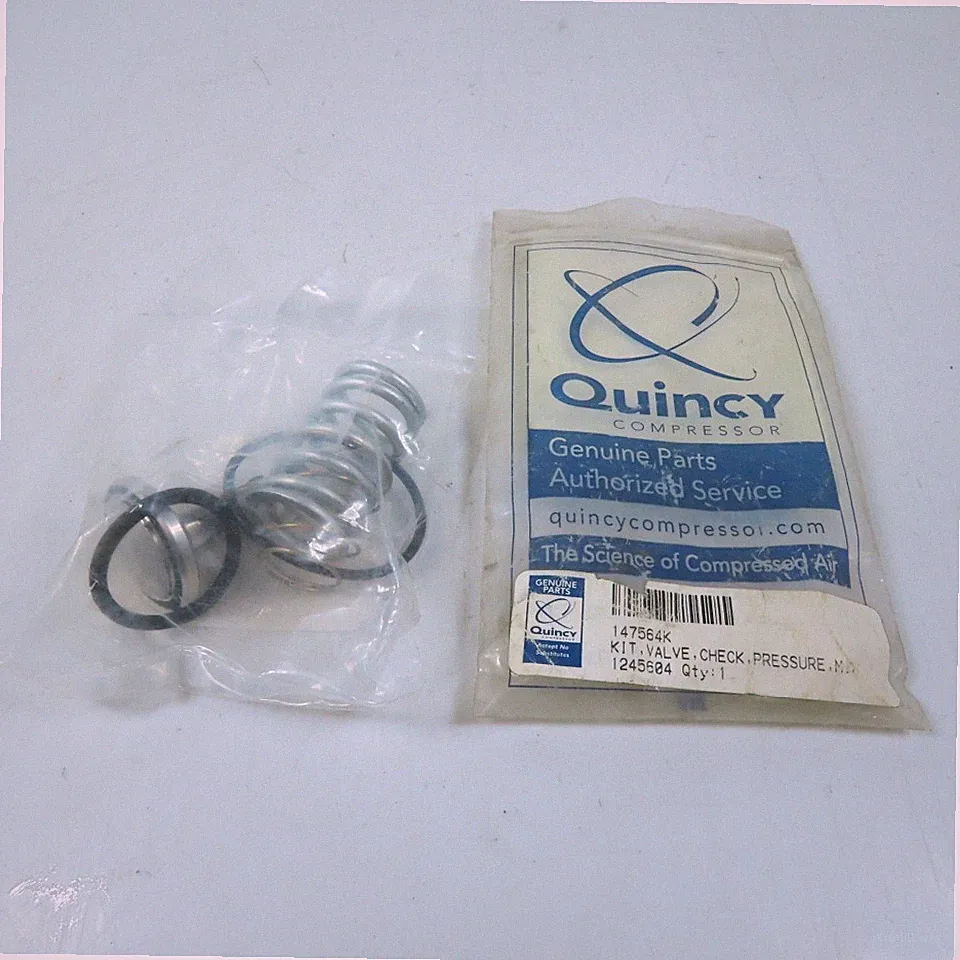 Quincy Compressor 1245604 147564K Check Valve Pressure Kit